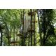 E-billet Enfant - Parcs AccroCamp - saison 2021