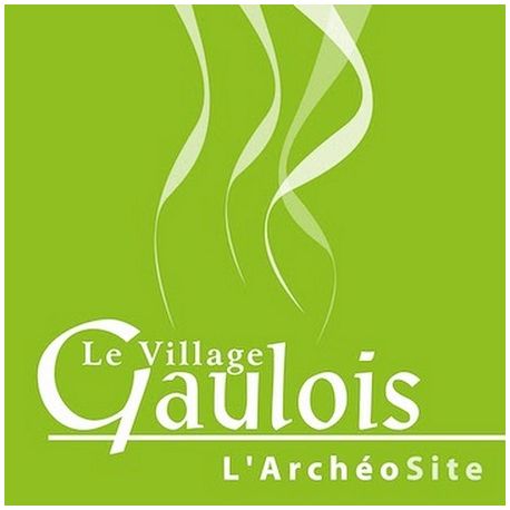 E-billet Le Village Gaulois Adulte (à partir de 15 ans) - Validité : 31/12/2022