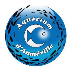 E-billet Aquarium d'Amnéville Adulte (à partir de 12 ans) - Validité : Illimitée