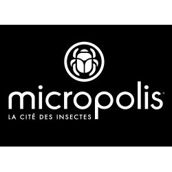 E-billet Micropolis Adulte (à partir de 15 ans) - Validité : 31/12/2022
