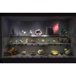 E-billet Adulte (à partir de 26 ans) Galerie de Minéralogie - Validité : 01/07/2023