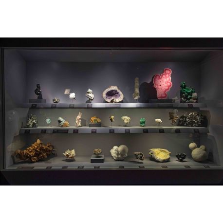 E-billet Adulte (à partir de 26 ans) Galerie de Minéralogie - Validité : 01/07/2023