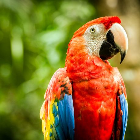 E-billet Adulte (à partir de 16 ans) Zoo d'Upie - validité : illimitée