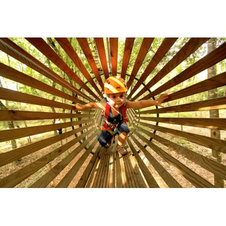 E-billet Pitchoun Forest (à partir de 3 ans et 1 mètre) - Validité : 31/12/2023