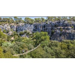 E-billet Canyon Forest + vélo (à partir d'1m30 et de 8 ans) - Validité : 31/12/2023