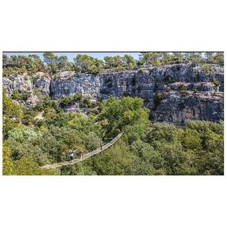 E-billet Canyon Forest + vélo (à partir d'1m30 et de 8 ans) - Validité : 31/12/2023