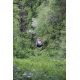 E-Billet Sherwood Parc - saison 2020