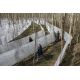E-Billet Sherwood Parc - saison 2020