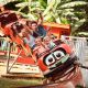 E-Billet Walygator Sud ouest tarif unique saison 2022