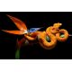 E-billet adulte Planet Exotica - haute saison - 2021