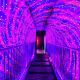 E-billet Musée de l'Illusion Paris - Adulte (à partir de 16 ans)