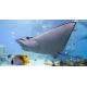 E-Billet Aquarium Sealife - validité 26-09-2020