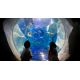 E-Billet Aquarium Sealife - validité 26-09-2020