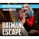 Batman Escape Game E-billet tarif individuel - validité 31/12/2025