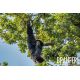 E-billet adulte Parc Animalier de Branféré - Validité permanente