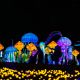 E-Billet Jardin d'Acclimatation 2025 - Festival des Lanternes Adulte - Valable du 10/12/2025 au 08/03/2026