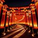 E-Billet Jardin d'Acclimatation 2025 - Festival des Lanternes Enfant - Valable du 10/12/2025 au 08/03/2026