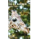E-billet Zoo de la Barben - Adulte