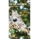 E-billet Zoo de la Barben - Enfant- valid.16/09/2023