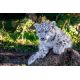 E-billet Zoo du Bassin d'Arcachon Adulte - valid.20/08/2020