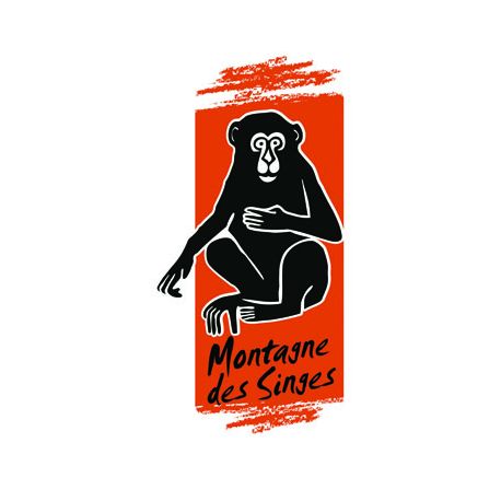 E-billet adulte La Montagne des Singes- Validité 11/11/2021