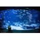 E-billet Bambin PLANET OCEAN MONTPELLIER (34) - 2019/2020