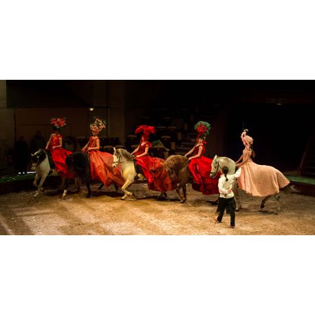 E-billet Spectacles au Domaine de Chantilly - Enfant - valid.24-02-2021