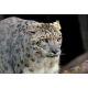 Ménagerie Zoo Jardin des Plantes : E-billet adulte - valid.06/11/21