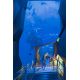 E-Billet adulte Cité de la Mer - valid. 31/10/2020