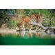 E-Billet Enfant CE Zoo de la Flèche (dpt72) - 1jr  Validité 31/12/2020