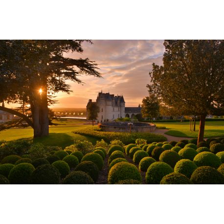 E-billet enfant Chateau d'Amboise -Saison 2019
