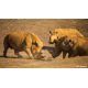 E-billet enfant Zoo de la Boissière - Validité jusqu'au 11/11/2021