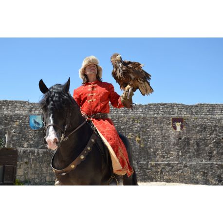 E-billet adulte - Spectacle à Provins : Les Aigles Des Remparts-Saison - 2021