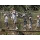 E-billet adulte Zoo de Champrepus - 2019
