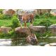 E-billet adulte Zoo de Champrepus - Validité 31/10/2022