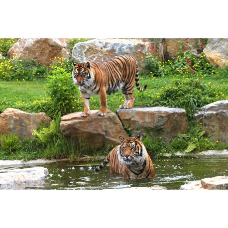 E-billet adulte Zoo de Champrepus - Validité 31/10/2022