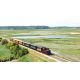 E-billet adulte Chemin de Fer de la Baie de Somme - Saison 2020 