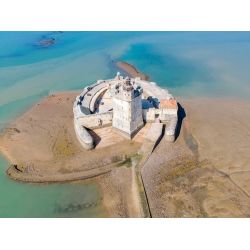 E-billet Adulte (+ de 18 ans) valid. Illimitée