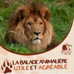 E-billet Le Refuge de l'Arche Adulte (à partir de 12 ans) - Valable jusqu'au 31/12/2026