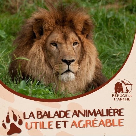 E-billet Le Refuge de l'Arche Adulte (à partir de 12 ans) - Validité : 31/12/2021